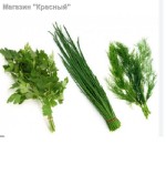 Подробнее... Зелень