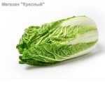 ������� ���������